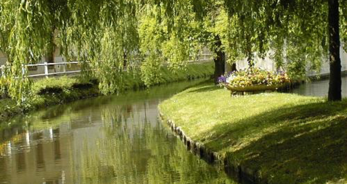 Les Mauves the tributary of the Loire valley